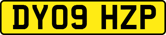 DY09HZP