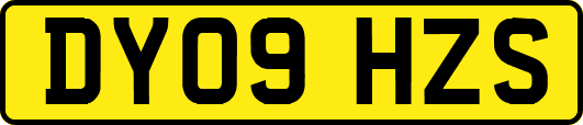 DY09HZS
