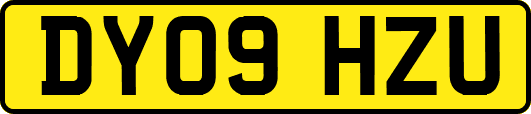DY09HZU