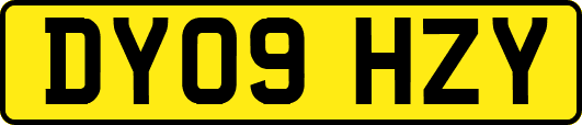 DY09HZY