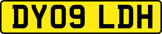 DY09LDH