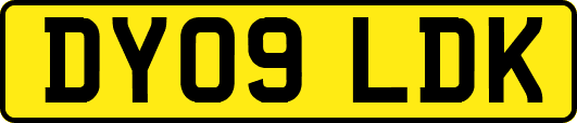 DY09LDK