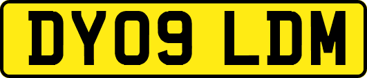 DY09LDM