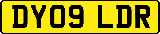 DY09LDR