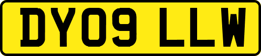 DY09LLW