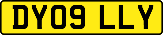 DY09LLY