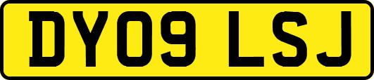DY09LSJ