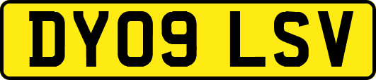 DY09LSV