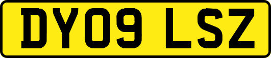 DY09LSZ