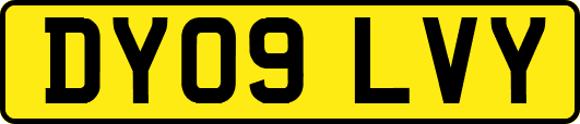 DY09LVY