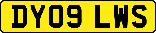 DY09LWS