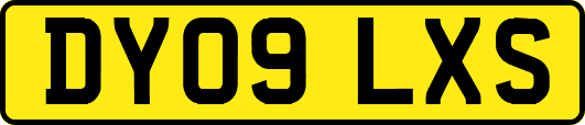 DY09LXS