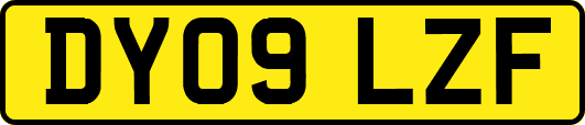 DY09LZF