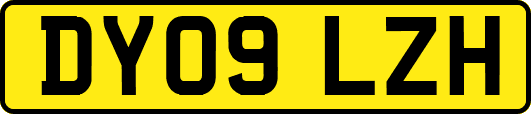 DY09LZH