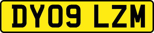 DY09LZM