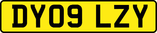 DY09LZY