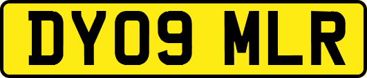 DY09MLR