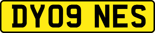 DY09NES