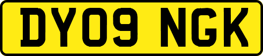 DY09NGK