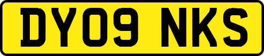 DY09NKS