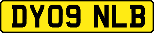 DY09NLB