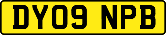 DY09NPB