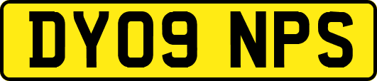 DY09NPS