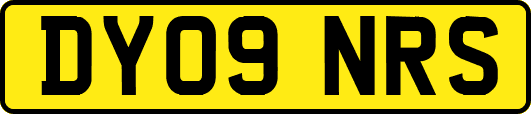 DY09NRS