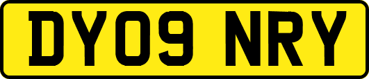 DY09NRY