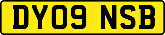 DY09NSB