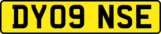 DY09NSE