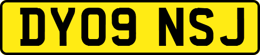 DY09NSJ