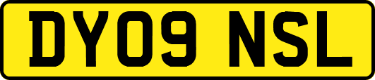 DY09NSL