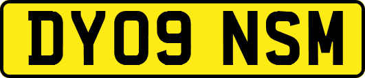 DY09NSM