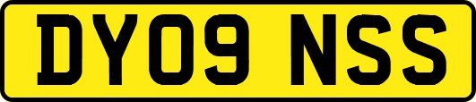 DY09NSS