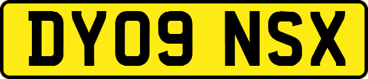 DY09NSX