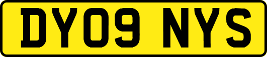 DY09NYS