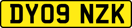 DY09NZK