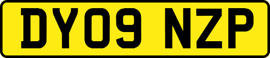 DY09NZP