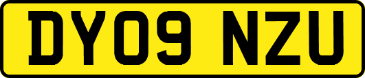 DY09NZU