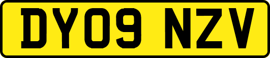 DY09NZV