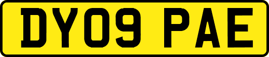 DY09PAE