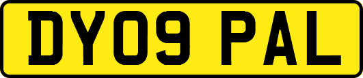 DY09PAL