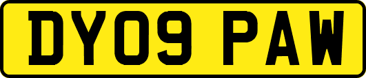 DY09PAW