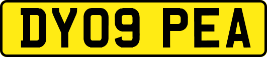 DY09PEA