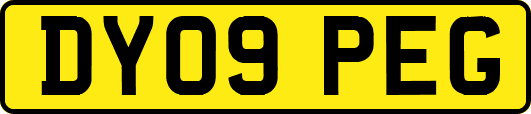 DY09PEG