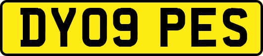 DY09PES