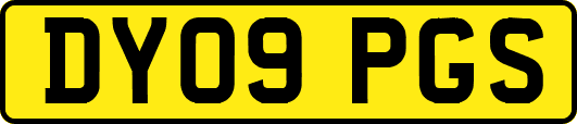 DY09PGS