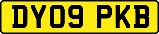 DY09PKB