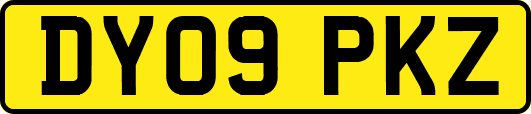DY09PKZ